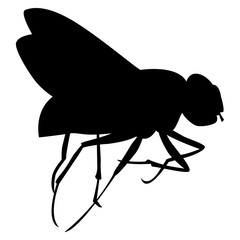 Silhouette noire de mouche sur fond blanc