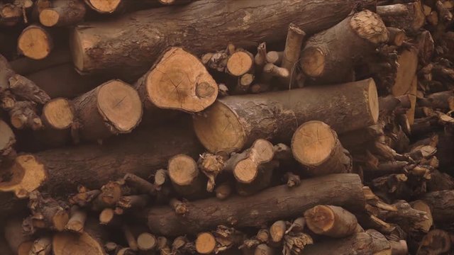 Extreme close-up low-angle still shot of a pile of dry firewood used for cremation at the ghats of Varanasi, India