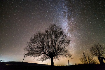 Fototapeta na wymiar Rural landscape at night. Dark trees under black starry sky with Milky Way constellation.