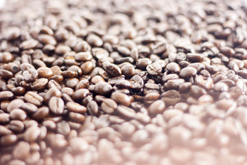 image of coffee bean