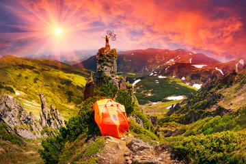 Fototapety na wymiar - Fototapeta24.pl