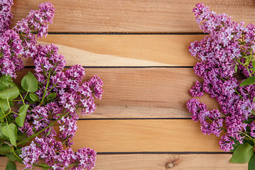 lilac branch on a wooden background . the view from the top .