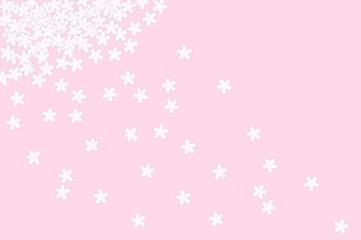 Japanese cherry blossom flowers fall like snow