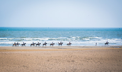 Horse riding on the beach