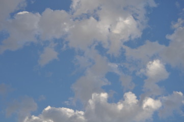 The beautiful landscape blue sky with clouds
