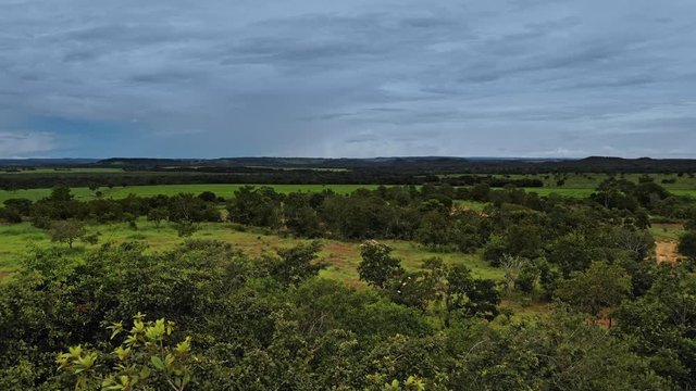 Flying over trees in rural Brazil as a bird flies away. Moody overcast aerial shot