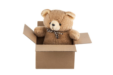 Teddy Bear in cardboard box isolated on white background