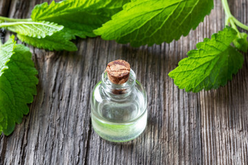 A bottle of melissa essential oil with melissa twigs