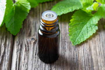 A bottle of melissa essential oil with melissa twigs