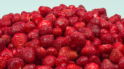 just fresh red strawberries without green leaves