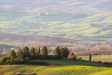 Fototapeta na wymiar hills and fields of Val d'Orcia in Tuscany at sunrise