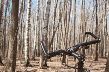 Steering wheel of black bike in the forest at sunny day. Travel on bicycle. Healthy lifestyle and active leisure concept.