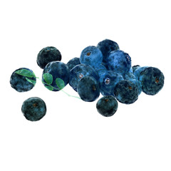 3d render of blueberry fruits