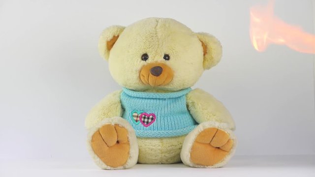 plush teddy bear on white background with fire