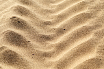 Fototapeta na wymiar Wheel tracks on the sand close-up. Texture background