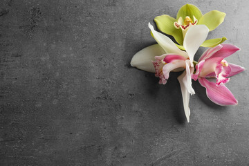 Beautiful tropical orchid flowers on grey background, flat lay. Space for text