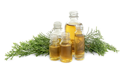 Different little bottles with essential oils and pine branches on white background