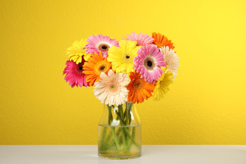 Bouquet of beautiful bright gerbera flowers in vase on table against color background