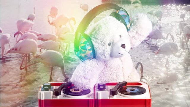 teddy bear dj disco party music child flamingoes