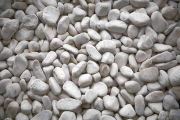 White pebble on the small garden ground. Decoration material for garden . White pebble on the small garden ground inside the house .