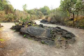A foot path surrounded by native vegetation growing on volcanic rock at Cuicuilco Archaeological Site, located in what is today the borough of Tlalpan, Mexico City, Mexico.