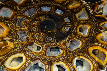 background - cut surface of a shell of fossil ammonite filled with quartz crystals