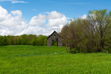 Vintage barn in the meadow