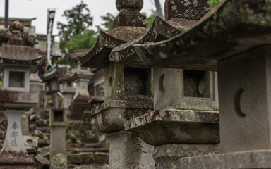 Fototapeta premium Close up to many different Stone Lanterns on the way to a buddhist Temple in Japan. Higo Honmyo Temple, Kumamoto Prefecture, Japan, Asia.