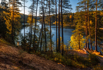 Silence on the forest lake surrounded with pines at sunset, Gluhoe, Russia, Mari El