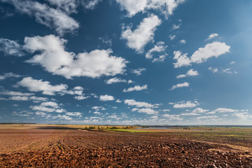 Panoramic view of a big field with the small wood and the river, with clouds in the sky, Mari El, Russia