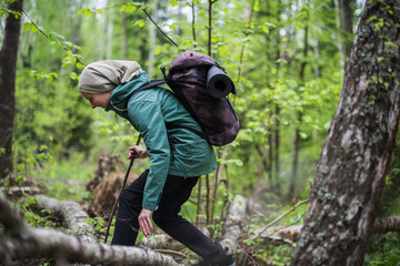 A girl with a backpack passes through the branches of the forest