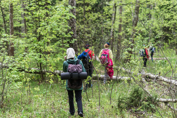 A group of hikers are walking along a forest path