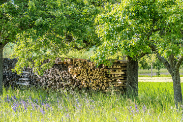 Brennholz lager im Freien © focus finder