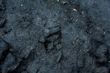 Black soil texture and background