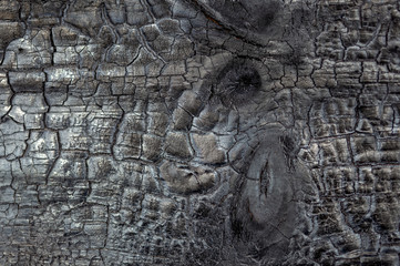 Macro photography of different textures of wood produced naturally by fungi marks, humidity, fire or by tools.