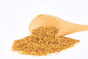 Organic seeds of alfalfa - Medicago sativa