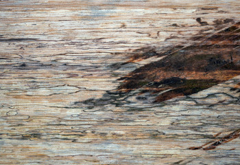 Naklejka premium Macro photography of different textures of wood produced naturally by fungi marks, humidity, fire or by tools.