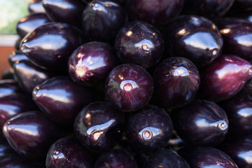 Fresh eggplant on market counter