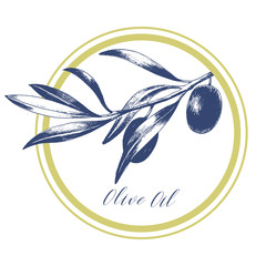 Round olive oil label. Hand drawn vector illustration. Package design.