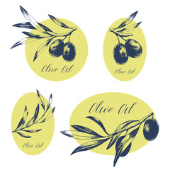 Set of oval and round olive oil labels. Hand drawn vector illustration. Package design.