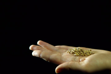 Close-up of fingers move a coriander seeds in hand on a black background.
