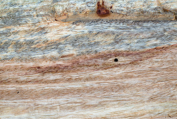 Fototapeta premium Macro photography of different textures of wood produced naturally by fungi marks, humidity, fire or by tools.