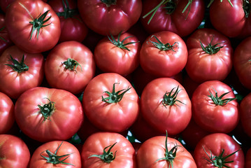 Fresh red tomatoes background, close-up. farming. agriculture