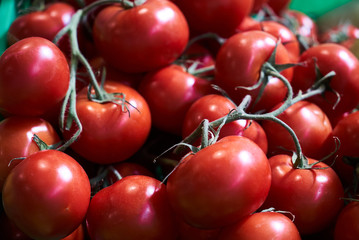 Fresh red tomatoes background, close-up. farming. agriculture