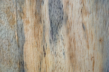 Obraz premium Macro photography of different textures of wood produced naturally by fungi marks, humidity, fire or by tools.