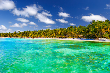 Dominican Republic, the Caribbean Sea, the sunny beaches of Saona Island