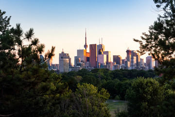 Fototapeta na wymiar Toronto city center skyline during evening golden hour sunset seen from Riverdale Park East