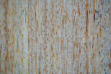 Fototapeta premium Macro photography of different textures of wood produced naturally by fungi marks, humidity, fire or by tools.