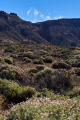 Fototapeta na wymiar desertic landscape in Teide mountain, Tenerife, Spain