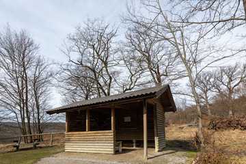 Small hut in a deciduous forest in early spring